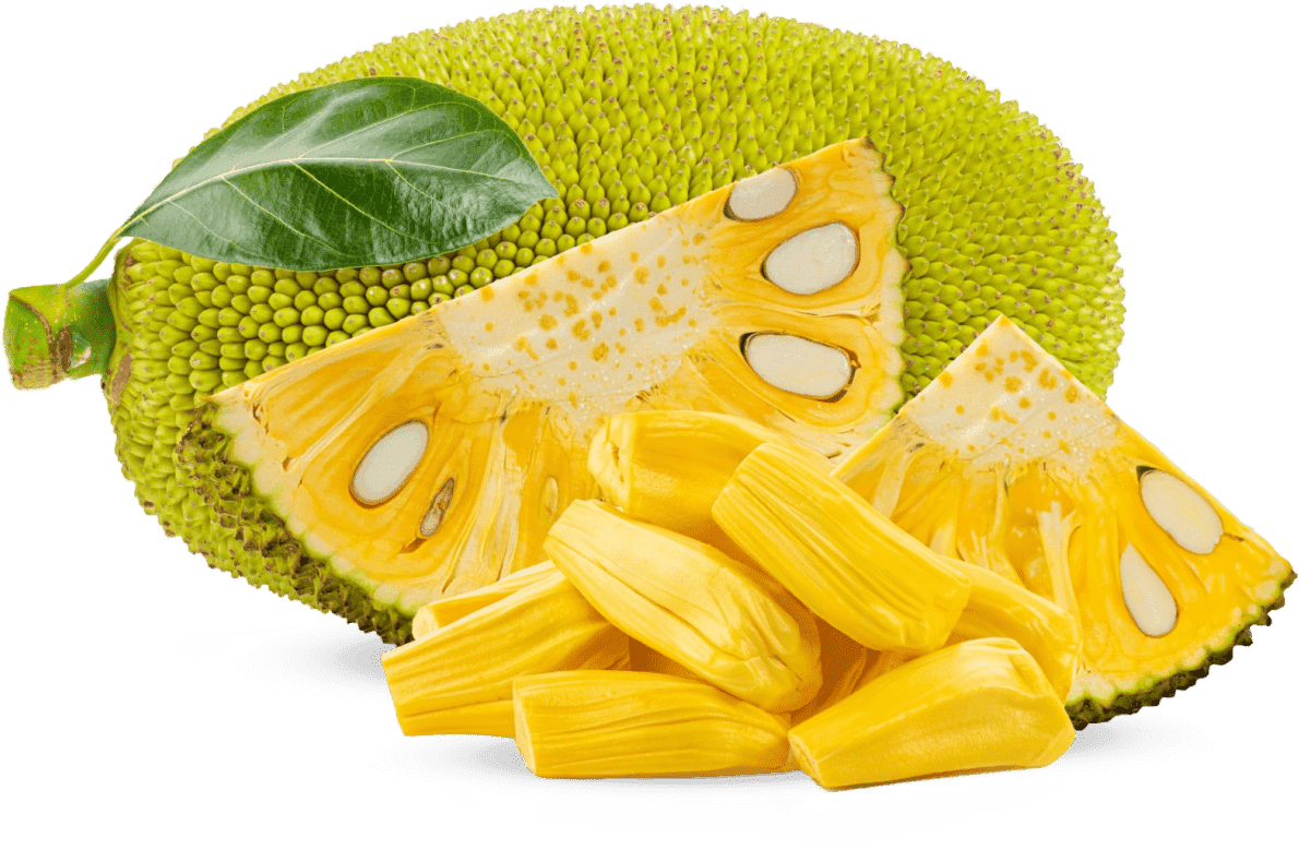 Jackfruit