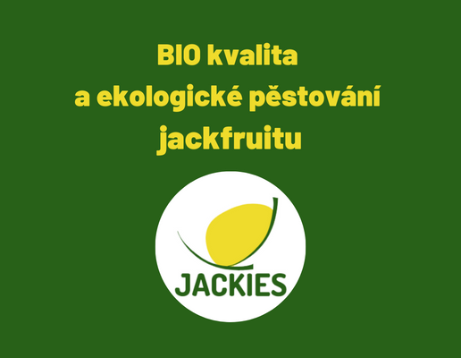 BIO kvalita a ekologické pěstování jackfruitu